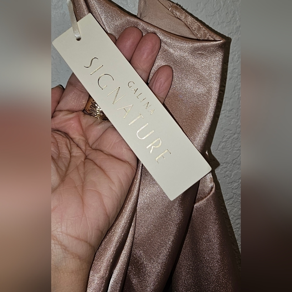 GALINA SIGNATURE CHARMEUSE COWL NECK SATIN DRESS COLOR SAND PALE PINK SZ 16 NEW - Picture 7 of 11